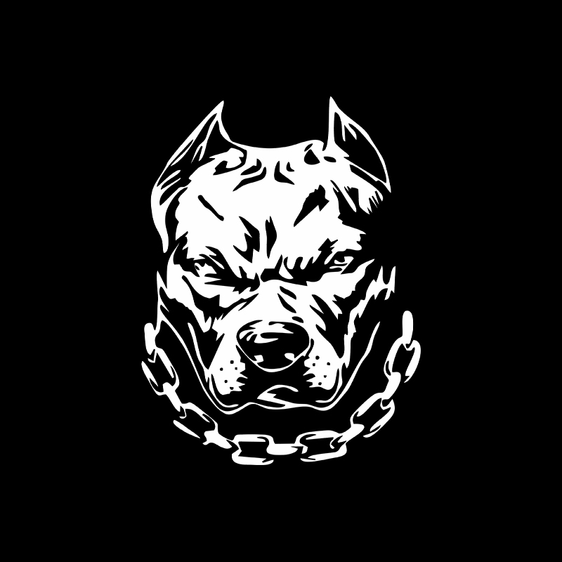 Fun Dog head creative car wind - مراجعة Motorcycle Gear For Dogs وسعره