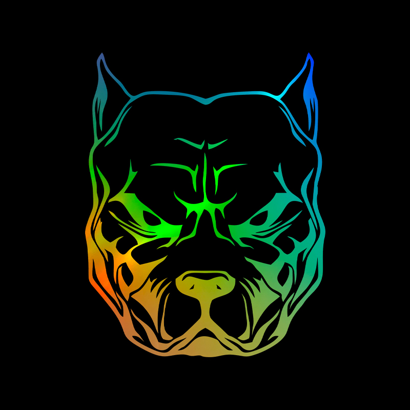 Motorcycle Sticker dog pattern - مراجعة Motorcycle Gear For Dogs وسعره