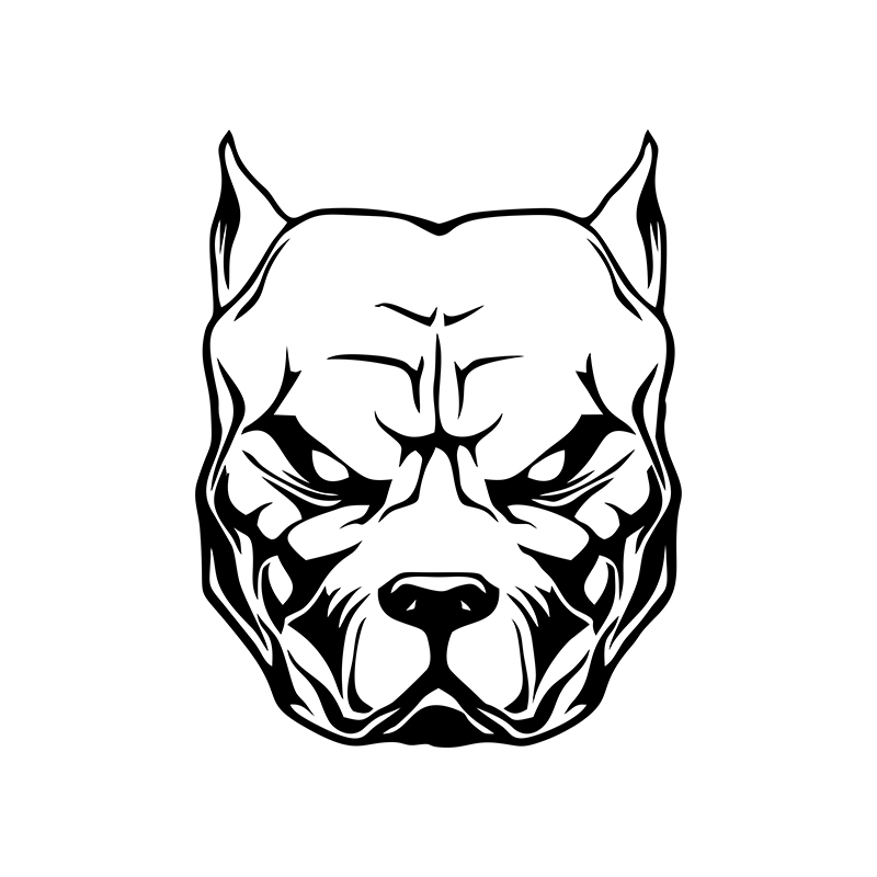 Motorcycle Sticker dog pattern - مراجعة Motorcycle Gear For Dogs وسعره