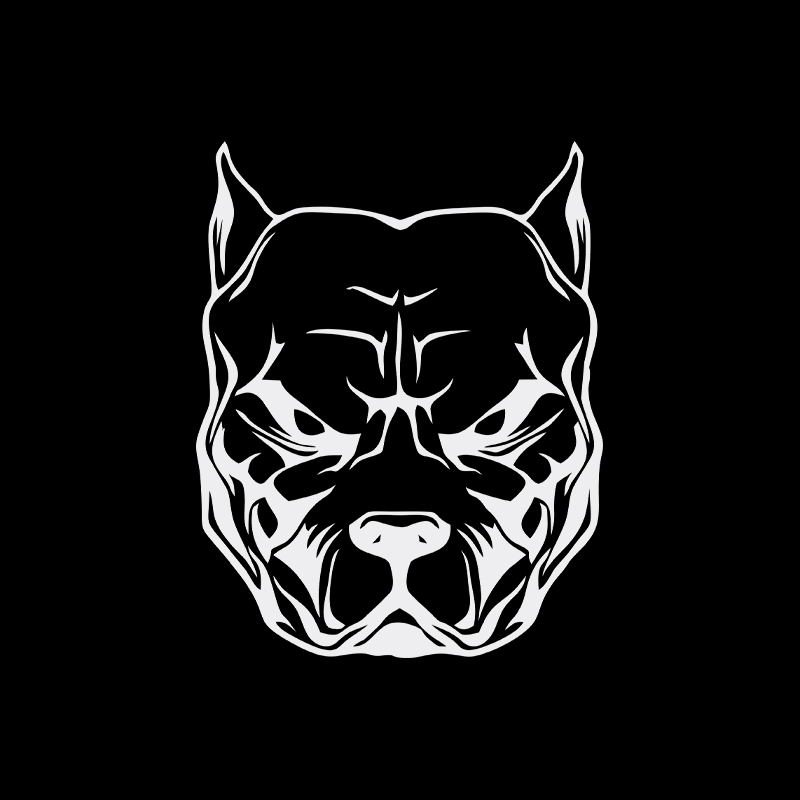 Motorcycle Sticker dog pattern - مراجعة Motorcycle Gear For Dogs وسعره