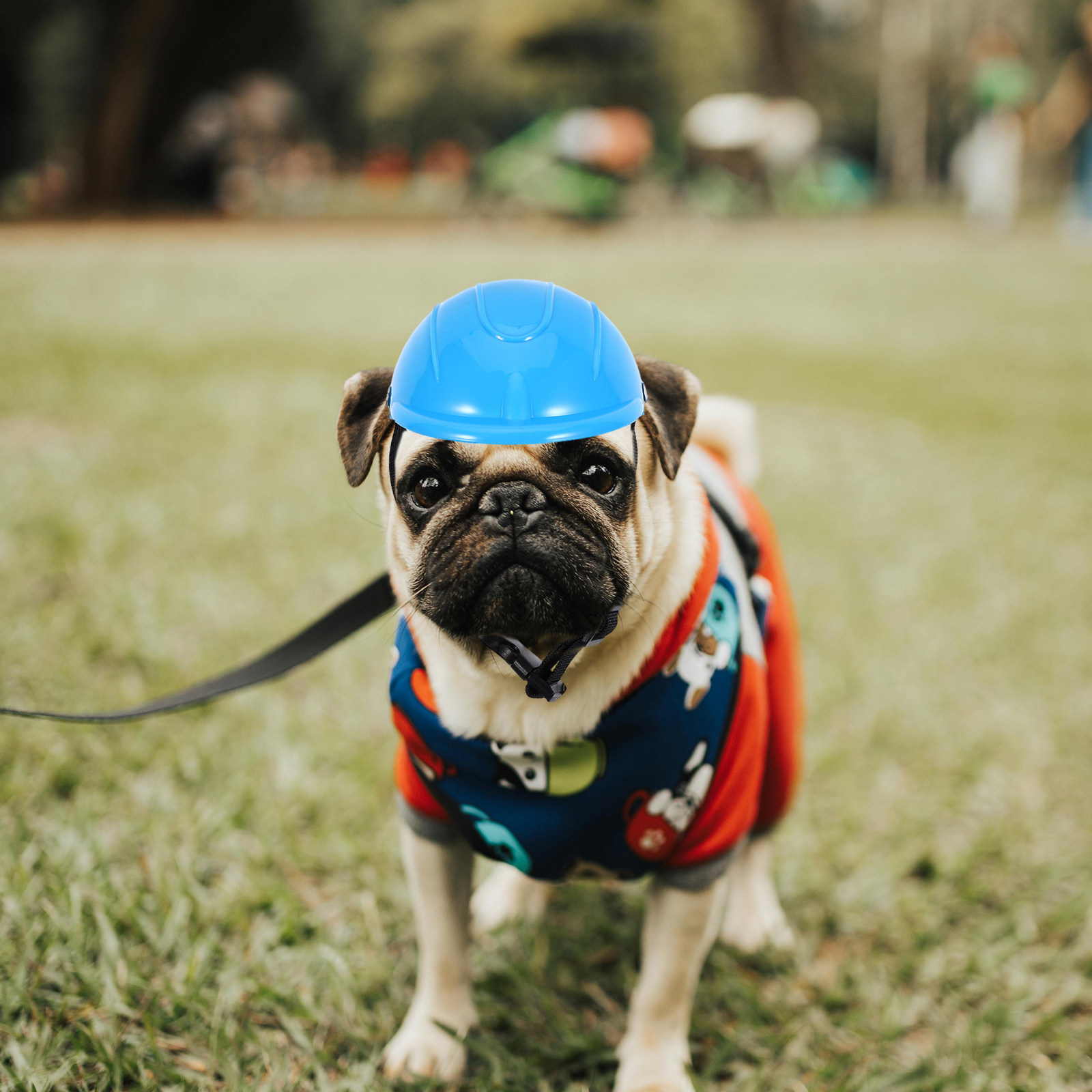 Small Dog Adjustable Protectiv - مراجعة Motorcycle Gear For Dogs وسعره