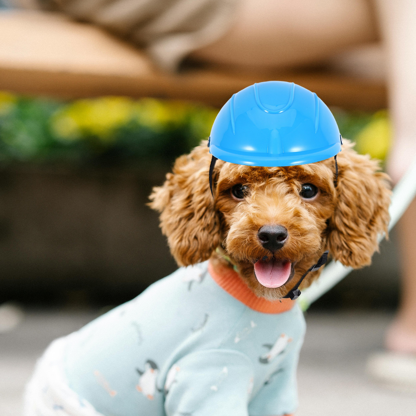 Small Dog Adjustable Protectiv - مراجعة Motorcycle Gear For Dogs وسعره