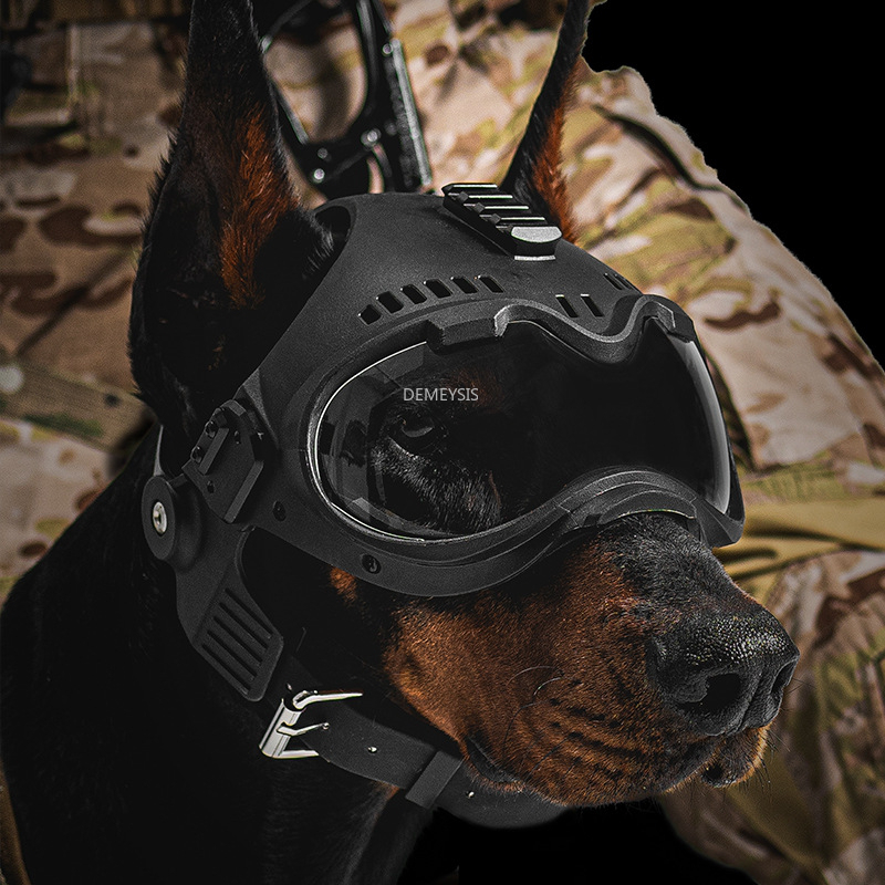 Outdoor Hunting Dog Helmet Pet - مراجعة Motorcycle Gear For Dogs وسعره