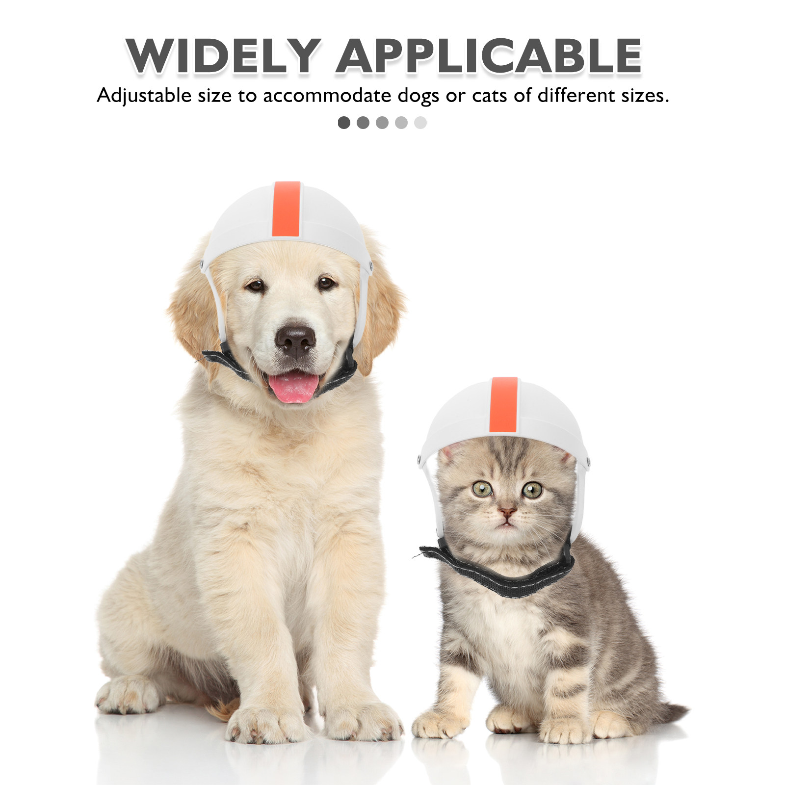 Small Medium Dog Cat Motorcycl - مراجعة Motorcycle Gear For Dogs وسعره