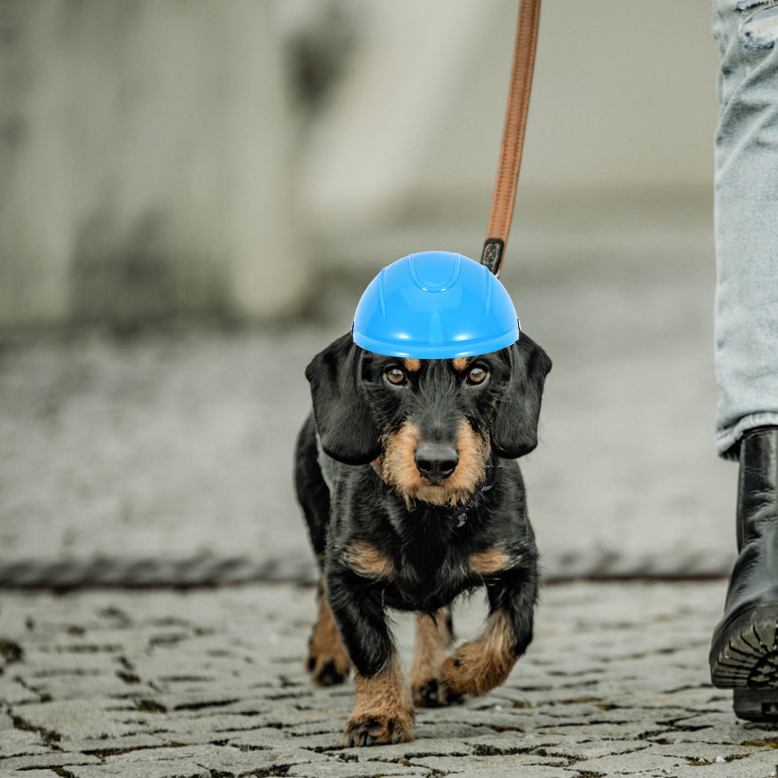 Small Dog Adjustable Pet Safet - مراجعة Motorcycle Gear For Dogs وسعره